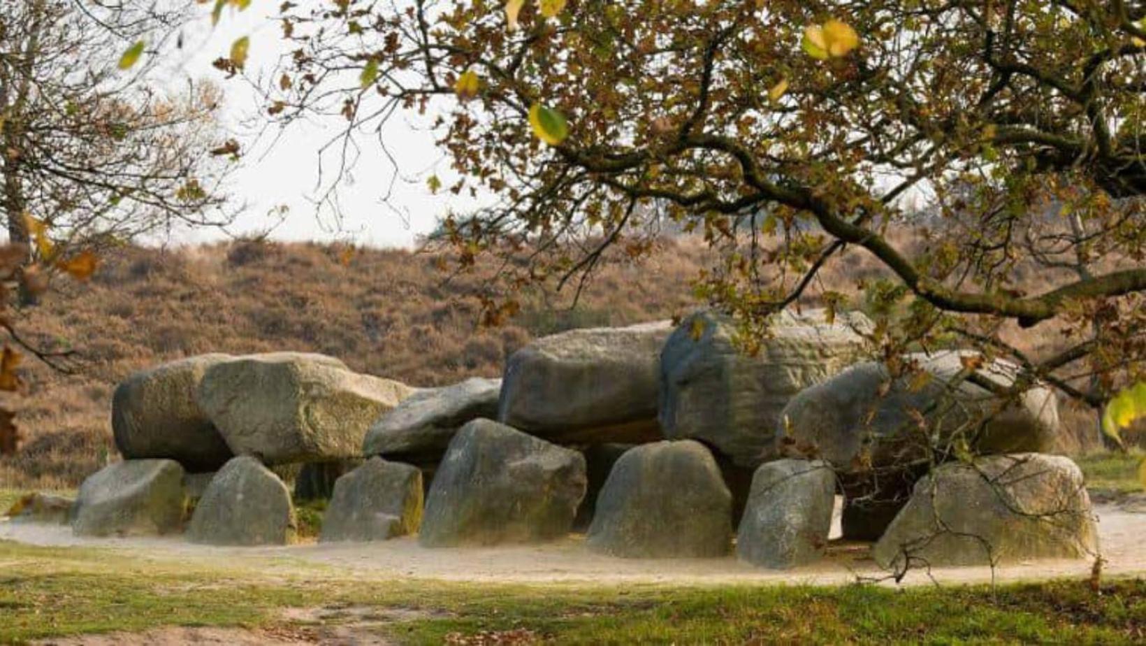 Vakantiepark De Toffe Peer Ruinerwold エクステリア 写真